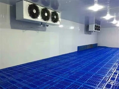 2025 10 کارخانه پیشرو اتاق سرد در چین